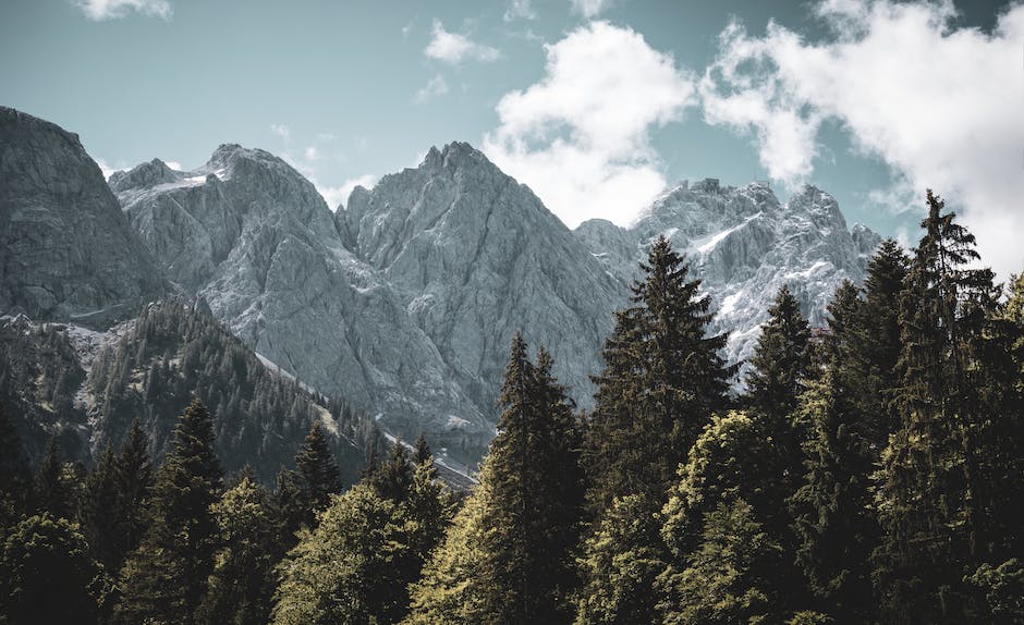 Baumfällen in Bayern erlaubt