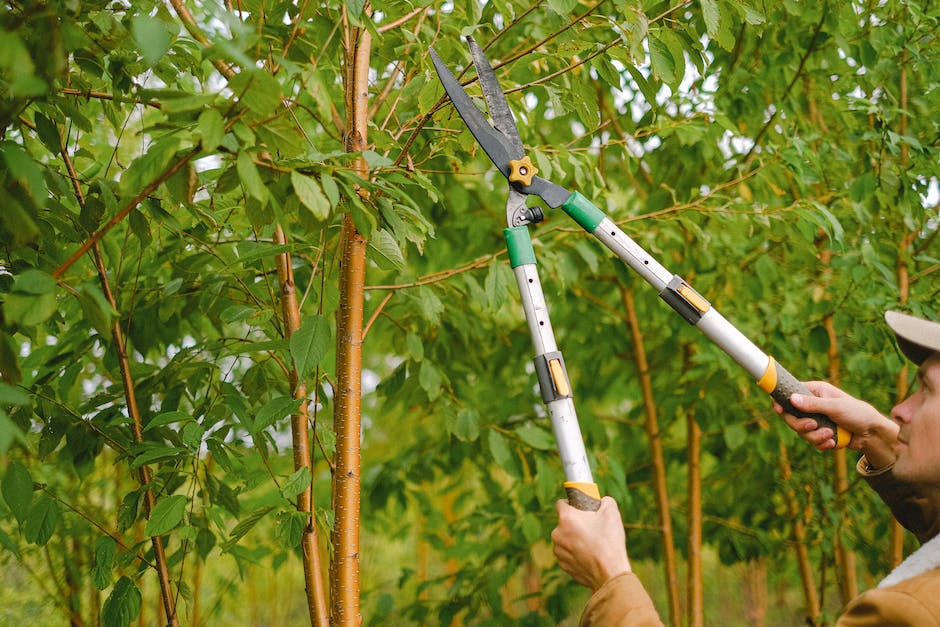 Längenbeschränkungen für Bäume- und Heckenschnitt