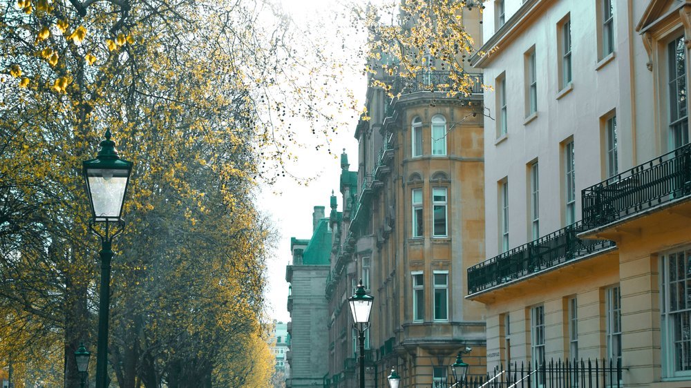 frühling bäume