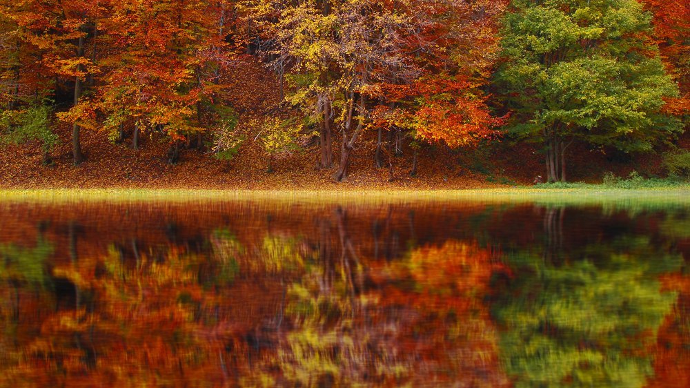 herbst baum malen