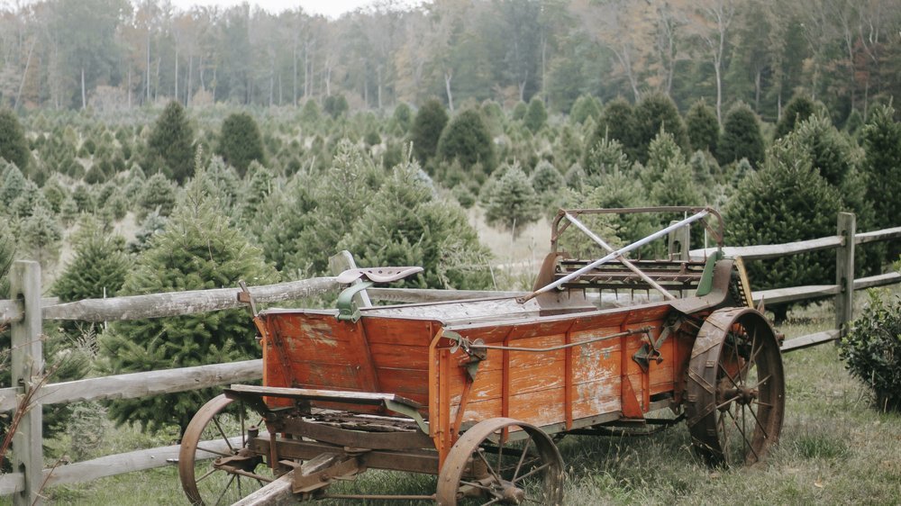 holz baum weihnachten